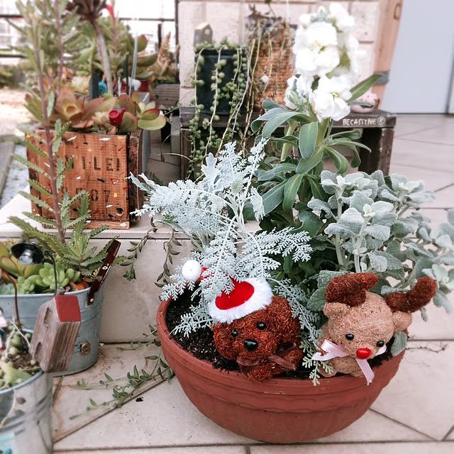 rinsさんの実例写真