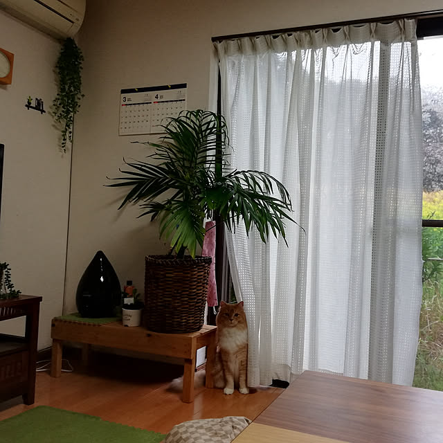 comatsu_naさんの実例写真