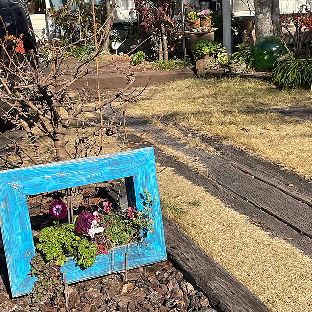 nobikoさんの部屋