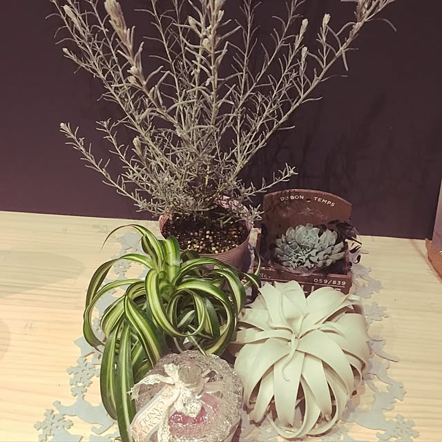mariaさんの実例写真