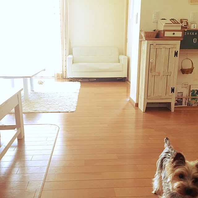 mayuoさんの実例写真