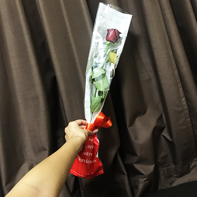 Hibariさんの実例写真