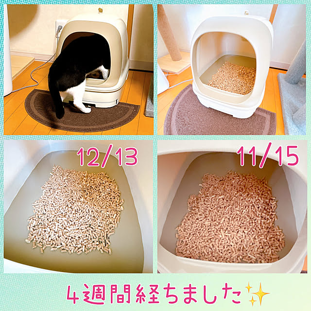 moolさんの実例写真
