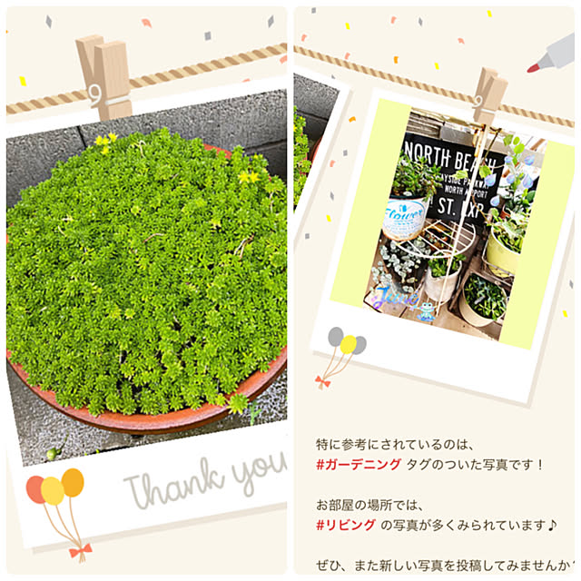 Love.Lapinさんの実例写真