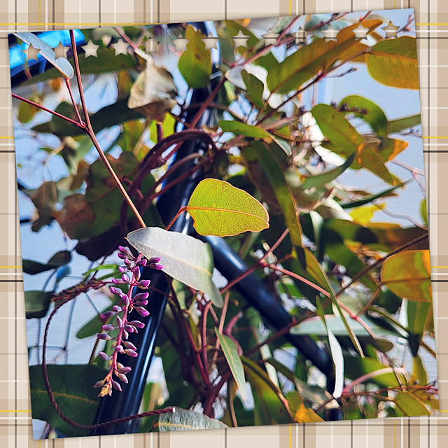 mimi828さんの実例写真