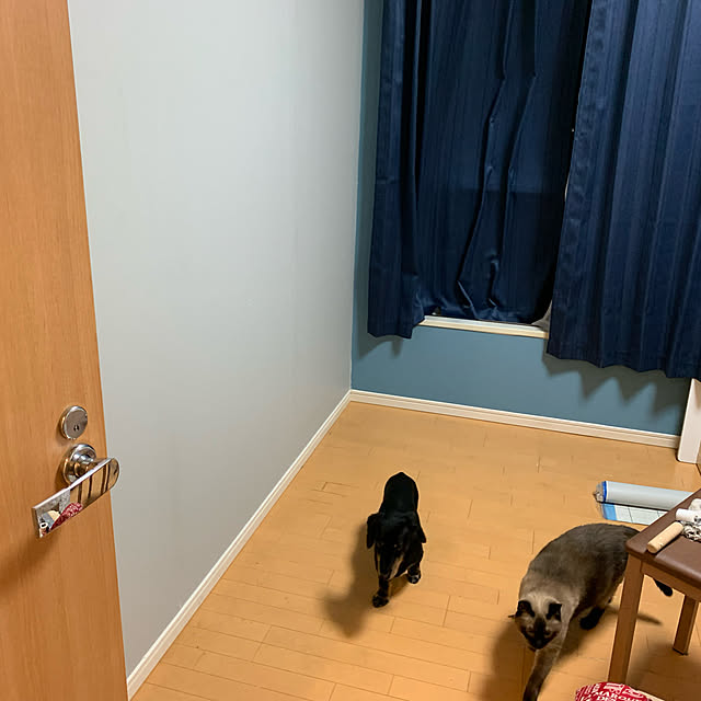BetanoHaraさんの実例写真
