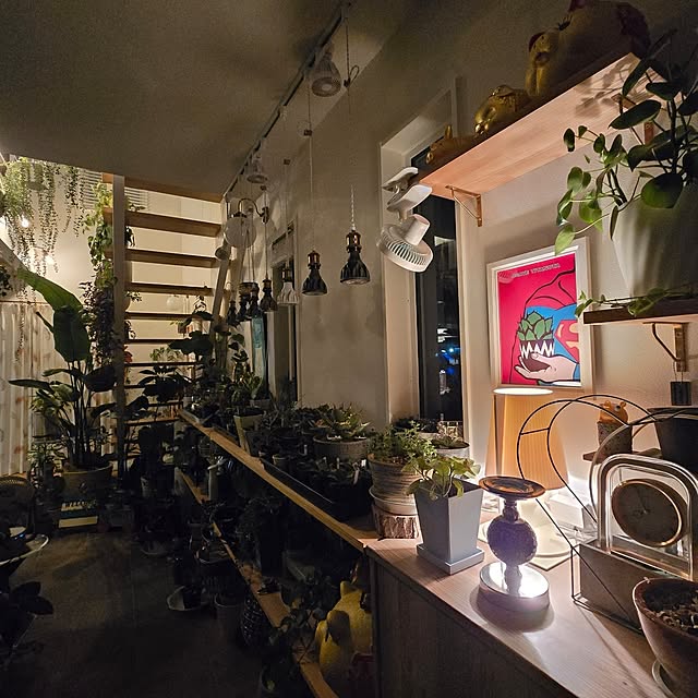 nonbiri_house_さんの部屋