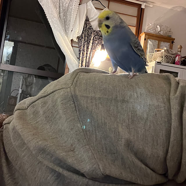 Atsukoさんの部屋