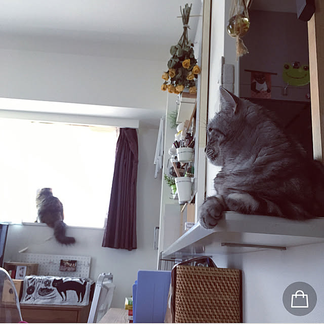 mikomaruさんの実例写真