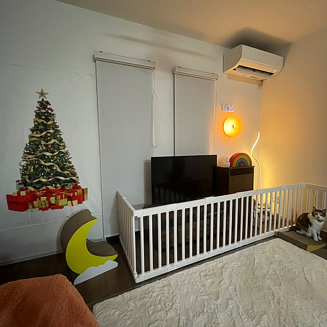 Misakiさんの実例写真