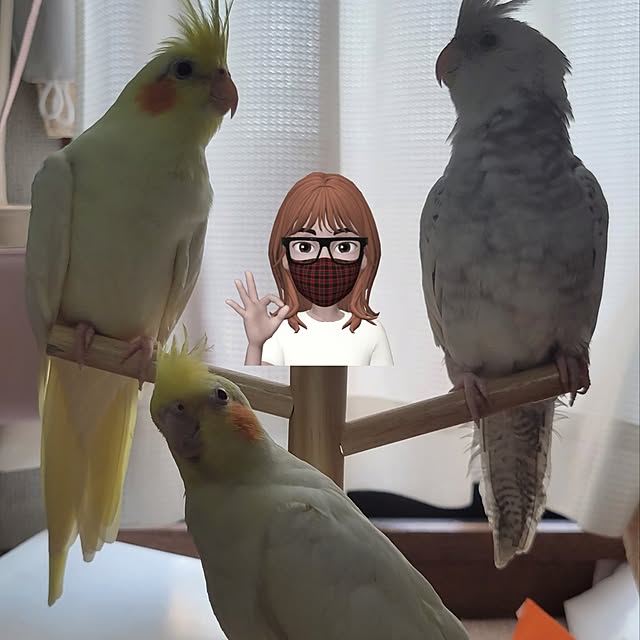 ANTENNAさんの実例写真