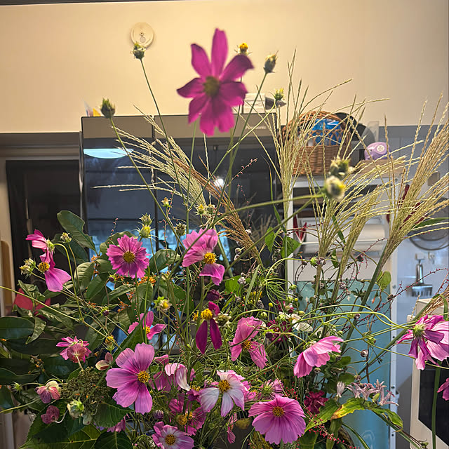 syutmmさんの部屋
