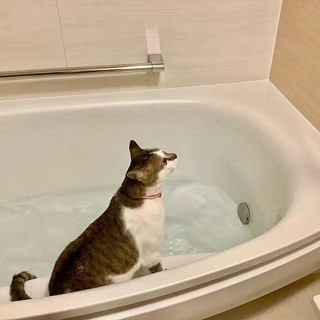 haruminさんの実例写真