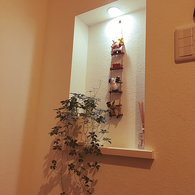 lunamamajunkoさんの実例写真