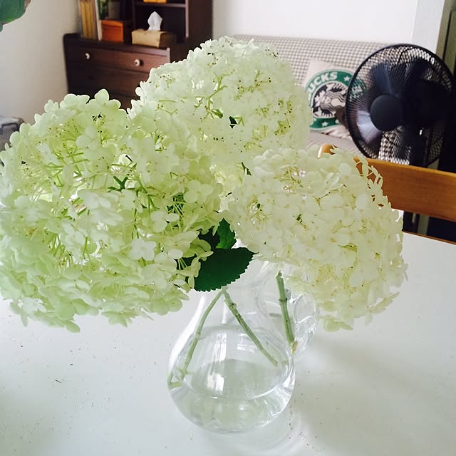 panjiroさんの実例写真
