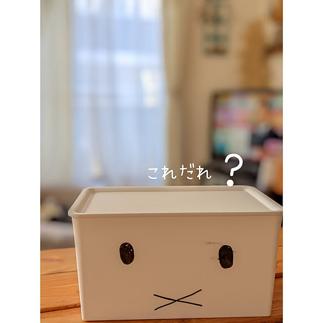 junさんの実例写真