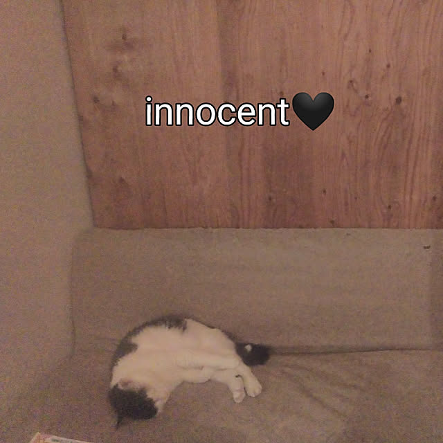 catloveさんの実例写真