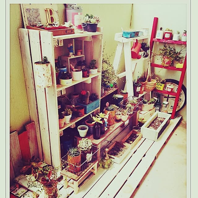 zu_kkyyさんの実例写真