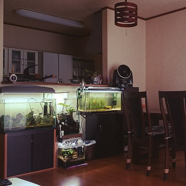 barieさんの実例写真