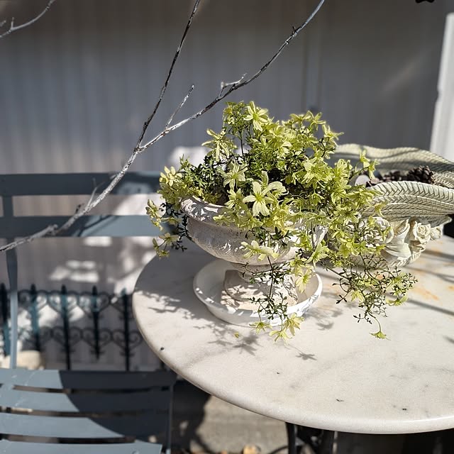 acocoさんの実例写真