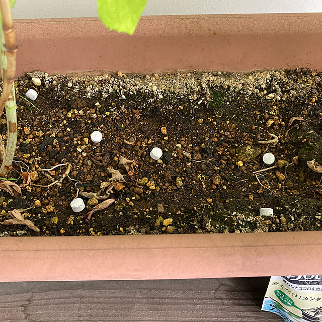 0415さんの部屋