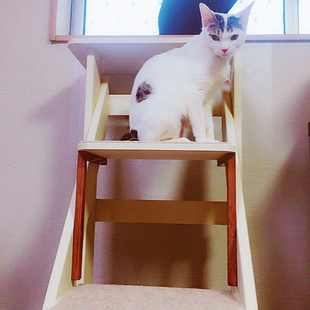 kirakirahikaru814さんの実例写真