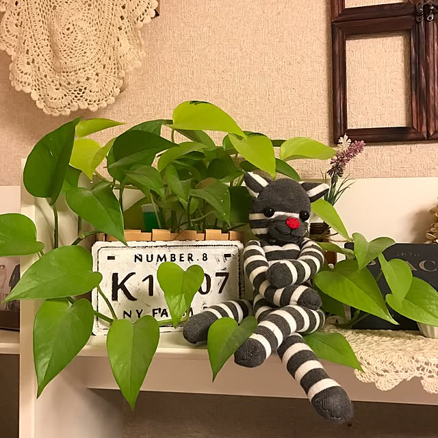 canmilmamaさんの実例写真