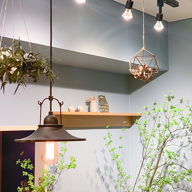 壁に付けられる家具/NO GREEN NO LIFE/リフォーム/ナチュラル/ユーカリ...などのインテリア実例 - 2020-05-20 19:23:00
