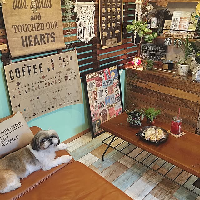 ANNAさんの実例写真