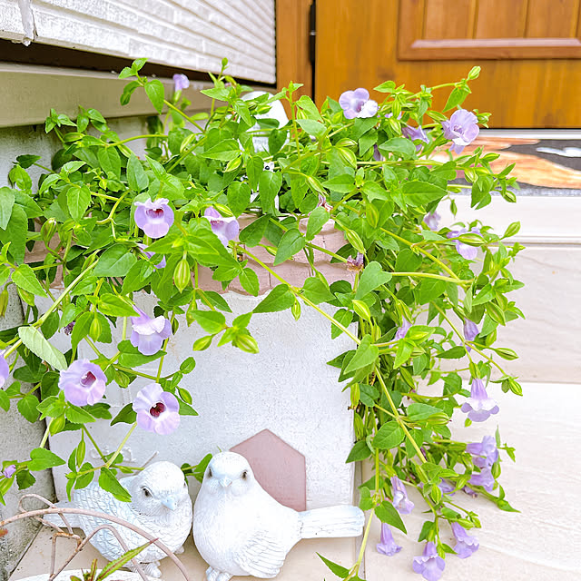 eriharuさんの実例写真
