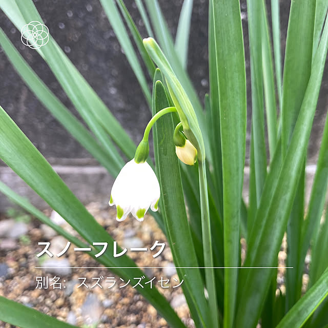 kazu-cafeさんの部屋