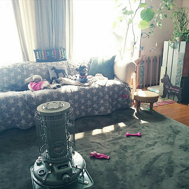 asaさんの実例写真