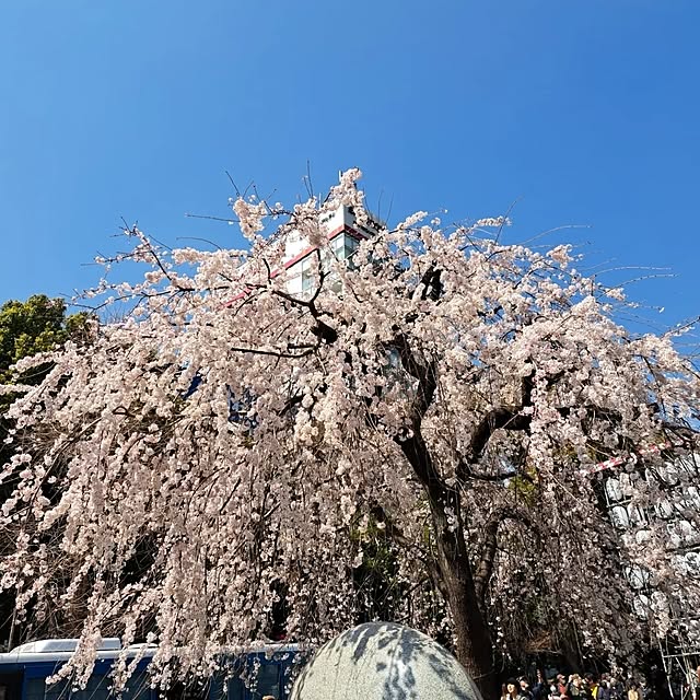 noaさんの部屋