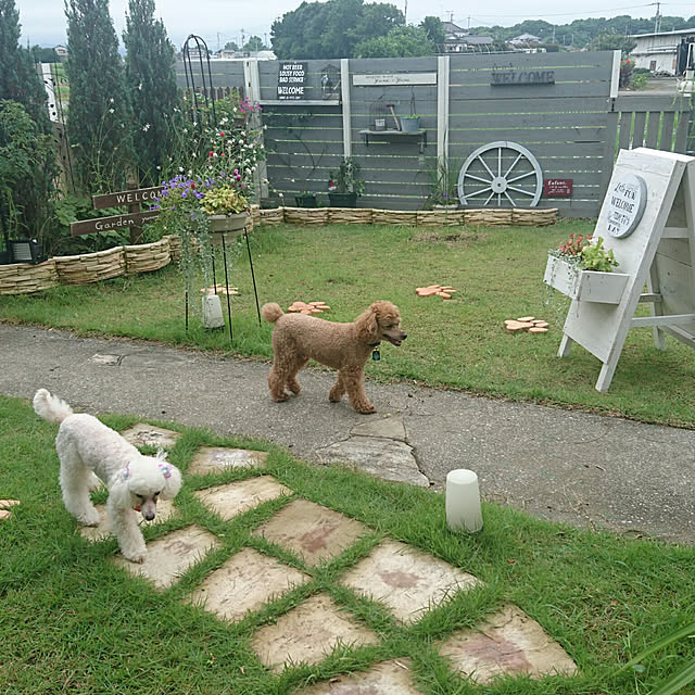 mocamamaさんの実例写真