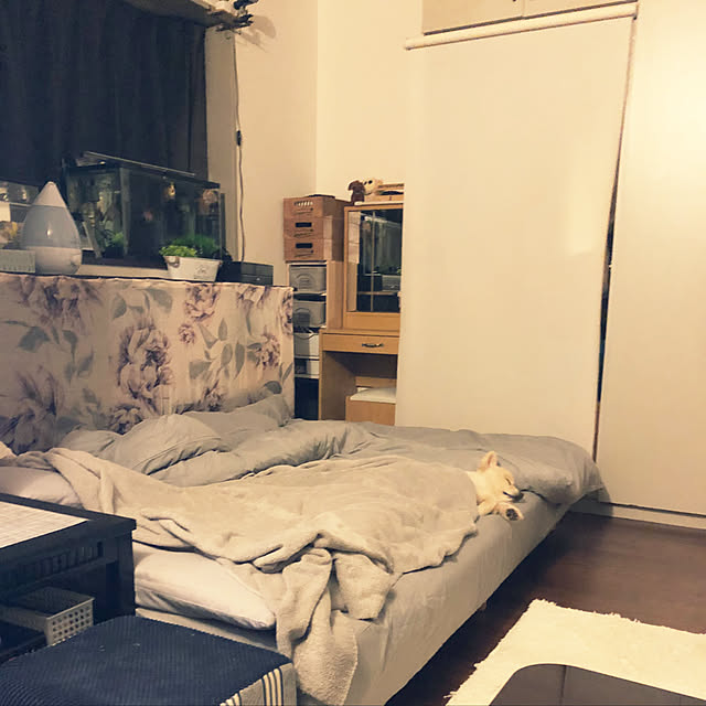 sacchiさんの実例写真