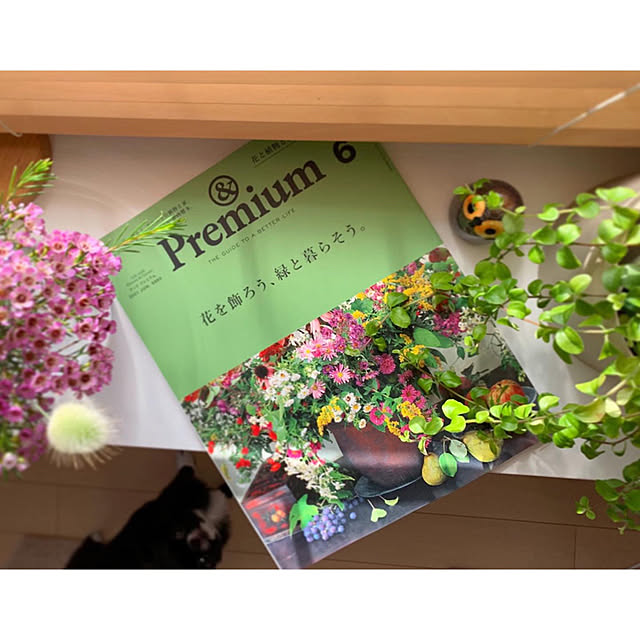 haruhinaさんの実例写真