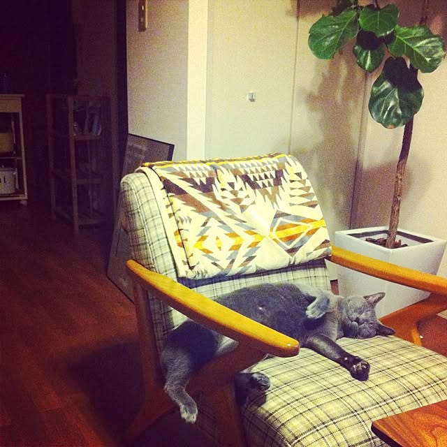 isocat3さんの実例写真