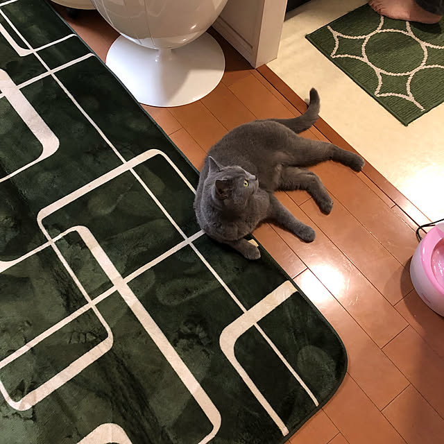 ikettenさんの実例写真
