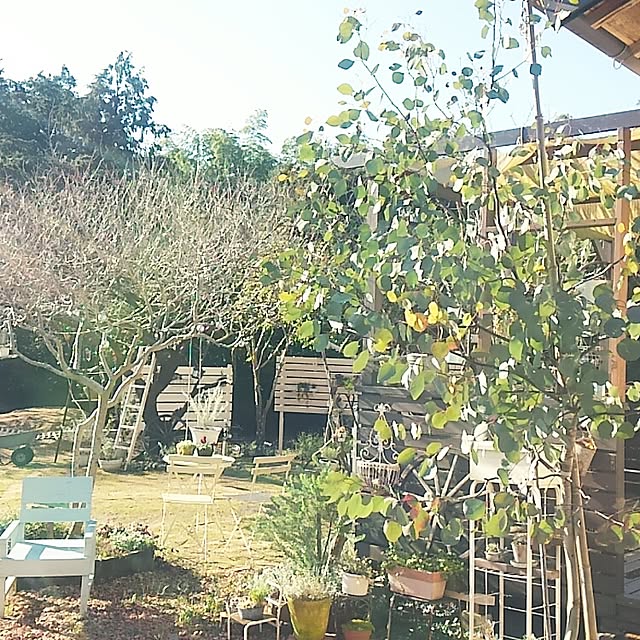 satomiさんの実例写真