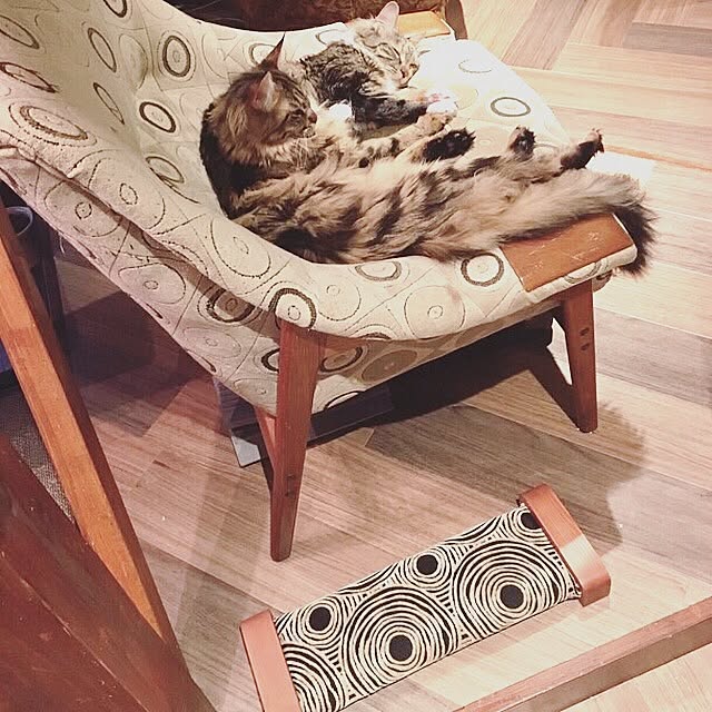 decorameowさんの実例写真
