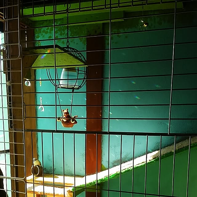 hiro310さんの実例写真