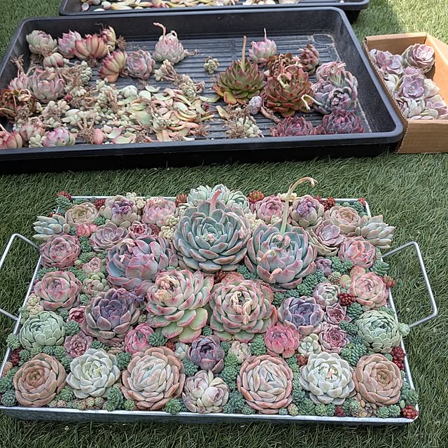 totokoさんの実例写真