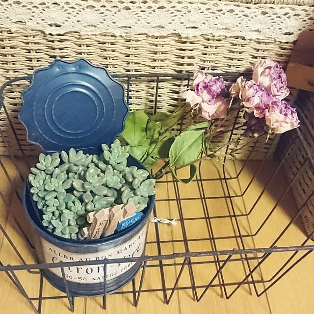 Kyataさんの実例写真