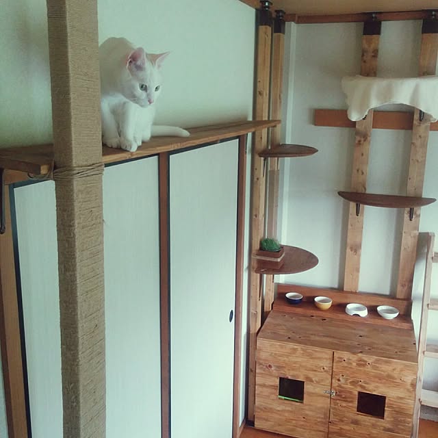 nocolorさんの実例写真
