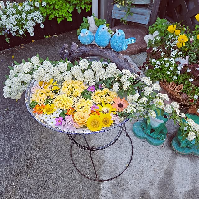 mocomocoさんの部屋