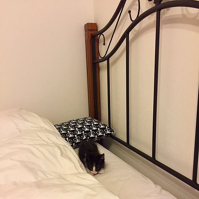 butachanさんの実例写真