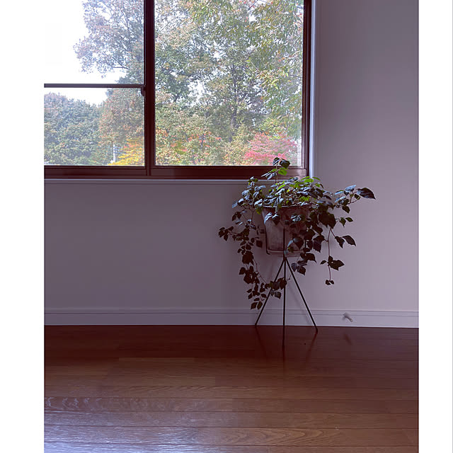 marucoさんの実例写真