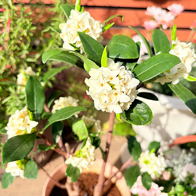 tocchiさんの部屋