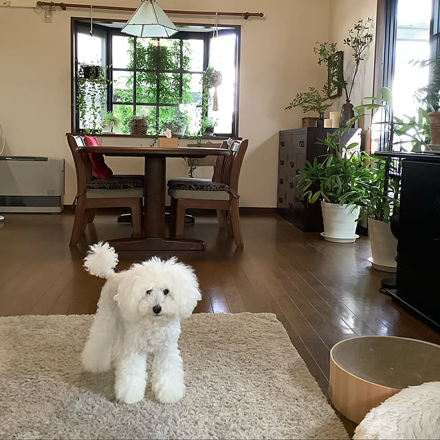 justyさんの実例写真