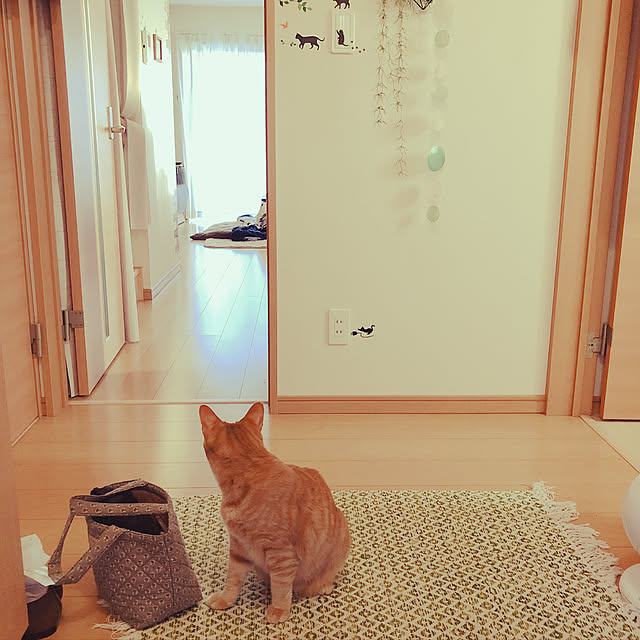 kinokoさんの実例写真